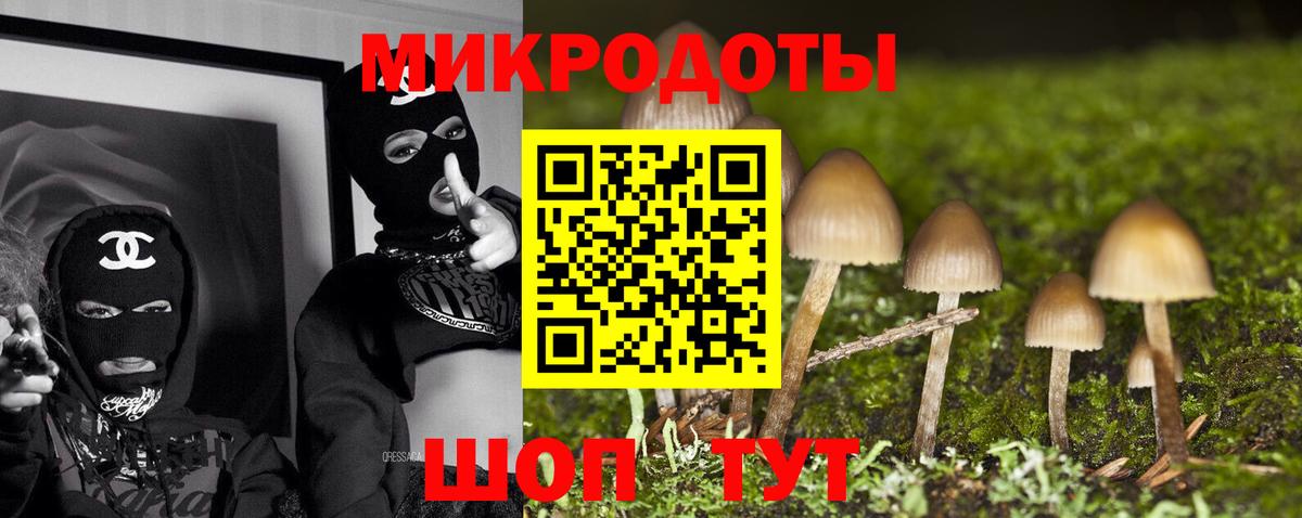 Галлюциногенные грибы ЛСД  Вход с VPN  Большой Камень 