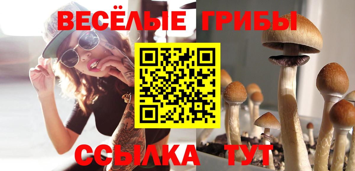 Галлюциногенные грибы прущие грибы Большой Камень